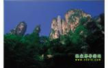 網(wǎng)絡(luò)熱門純玩游：張家界、天子山、袁家界、楊家界 自助三日游