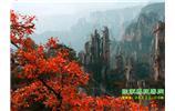 春節(jié)期間：張家界、天子山、金鞭溪自駕車精華精品游