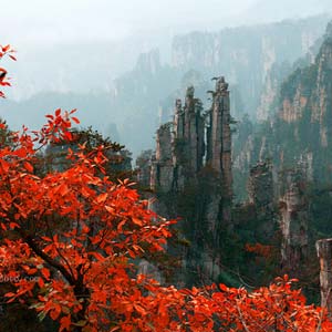 休閑自駕E線：張家界、袁家界、天子山、寶峰湖、鳳凰古城、沱江泛舟四晚五日游