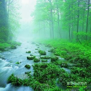 【純玩散拼尊享系列3】張家界、天子山、袁家界、黃龍洞、鳳凰三晚四日游