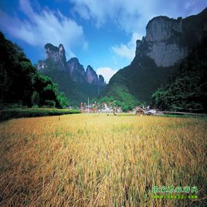 張家界往返純玩散拼：矮寨大橋、德夯苗寨、鳳凰古城、芙蓉鎮(zhèn)二日游