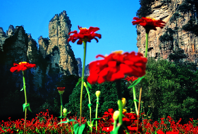 LF線：張家界國家森林公園、猛洞河漂流、鳳凰古城純玩自助五日游